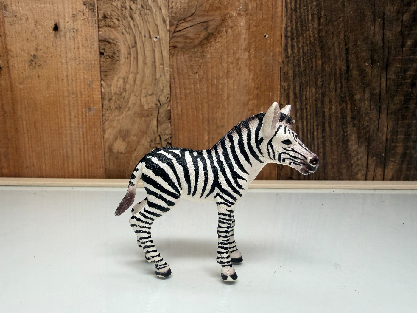 Schleich Wild Life Zebra Veulen (14393)