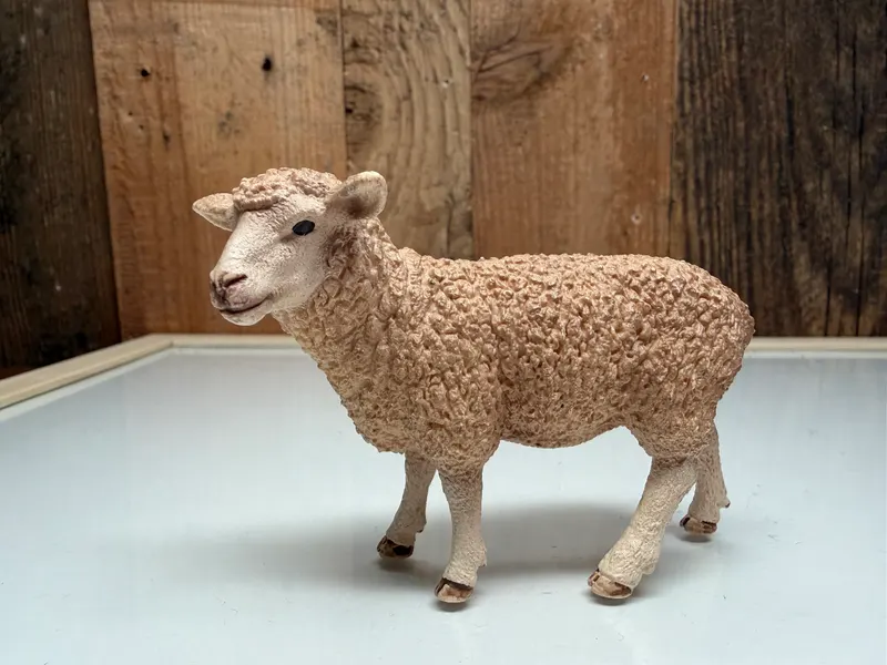 Schleich Farm World Schaap (13743)