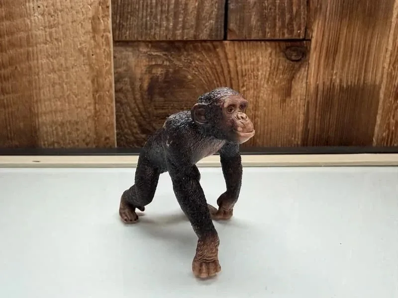 Schleich Wild Life Chimpansee (14883)
