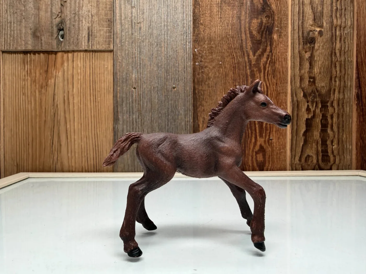 Schleich Horse Club Engelse Volbloed Veulen (13857)