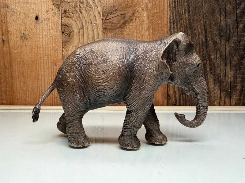 Schleich Wild Life Aziatische Olifant Vrouwtje (14753)