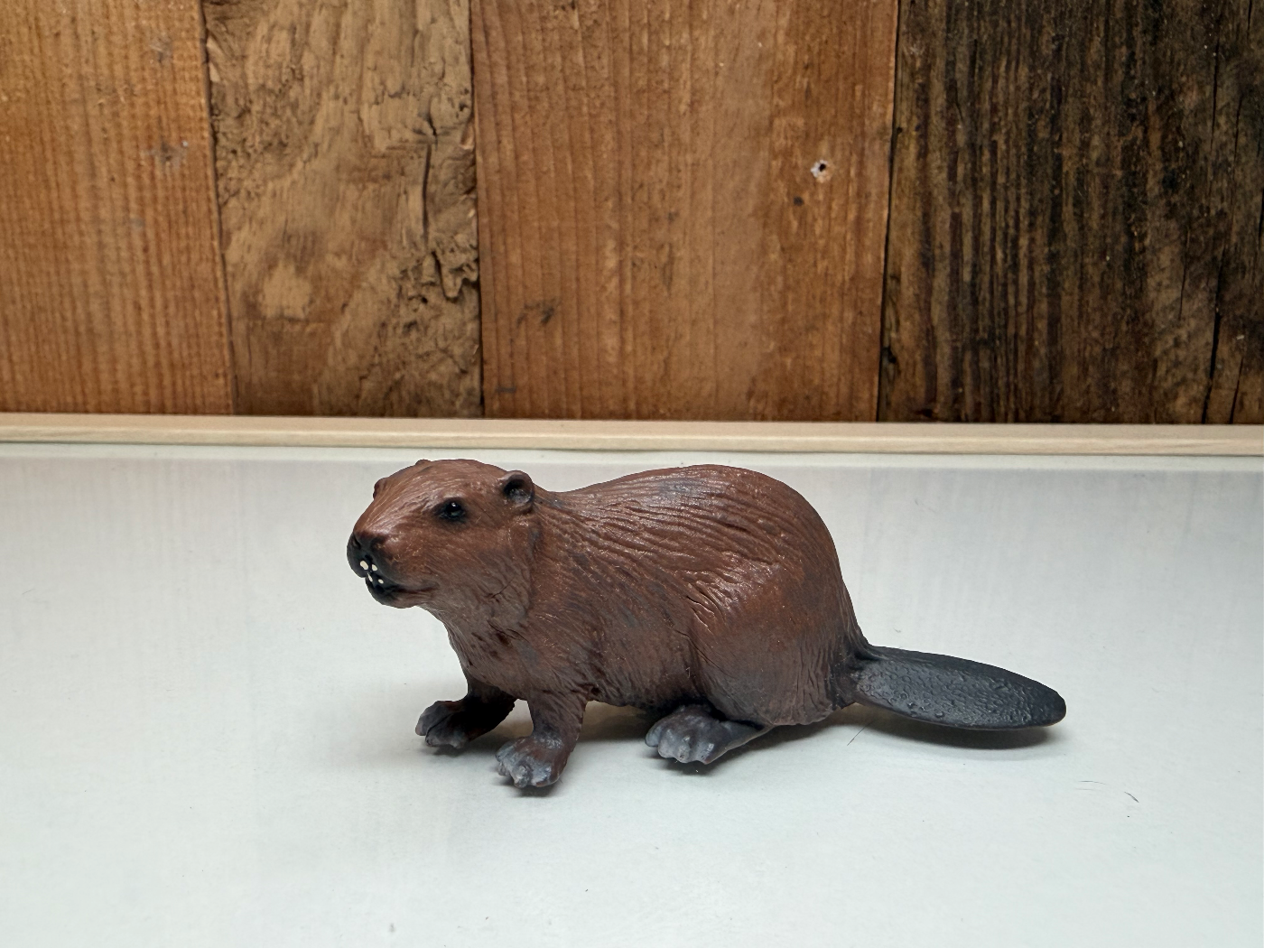 Schleich Wild Life Bever 2001 (14245)