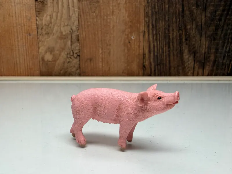 Schleich Farm World Biggetje (13783)