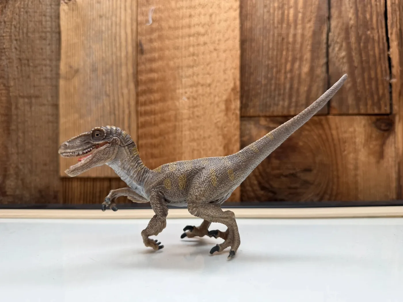 Schleich Velociraptor