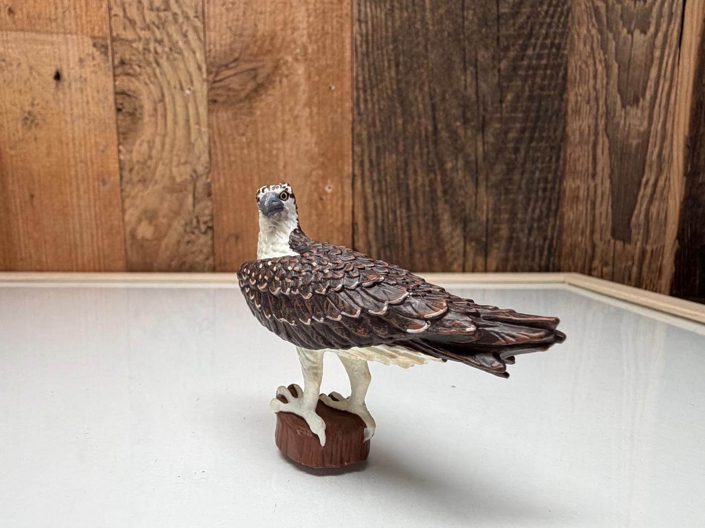 Safari Ltd Wild Life Visarend (108199)