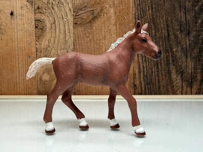 Schleich Appaloosa Veulen