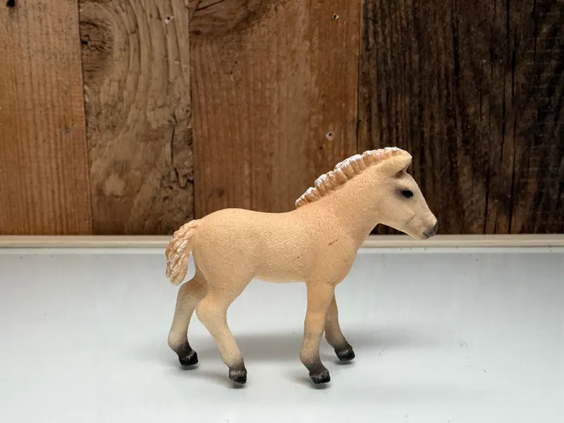 Schleich Horse Club Fjord Veulen (13755)