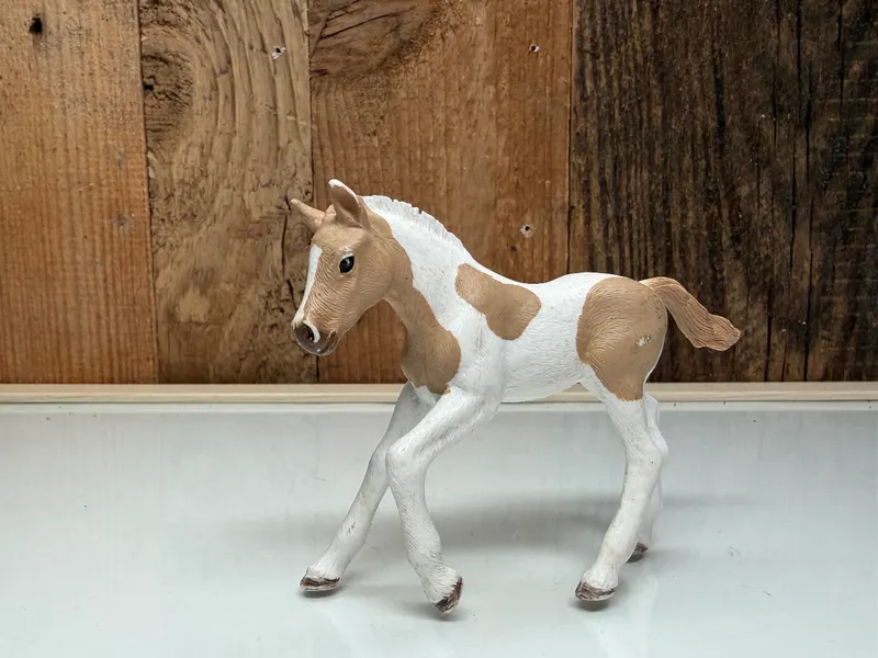 Schleich Horse Club Paint Horse Veulen (13886)