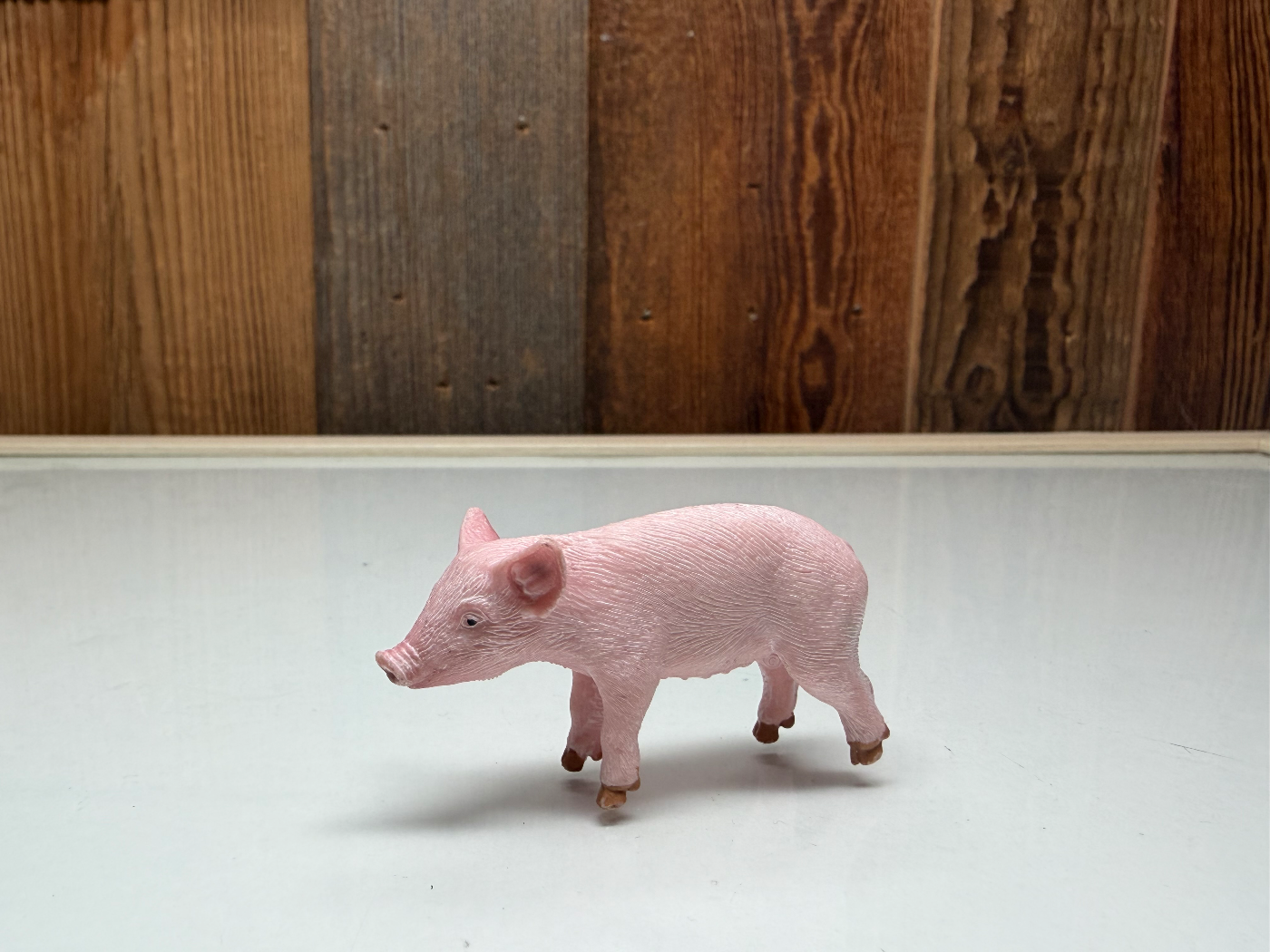 Schleich Farm World Biggetje (13783)