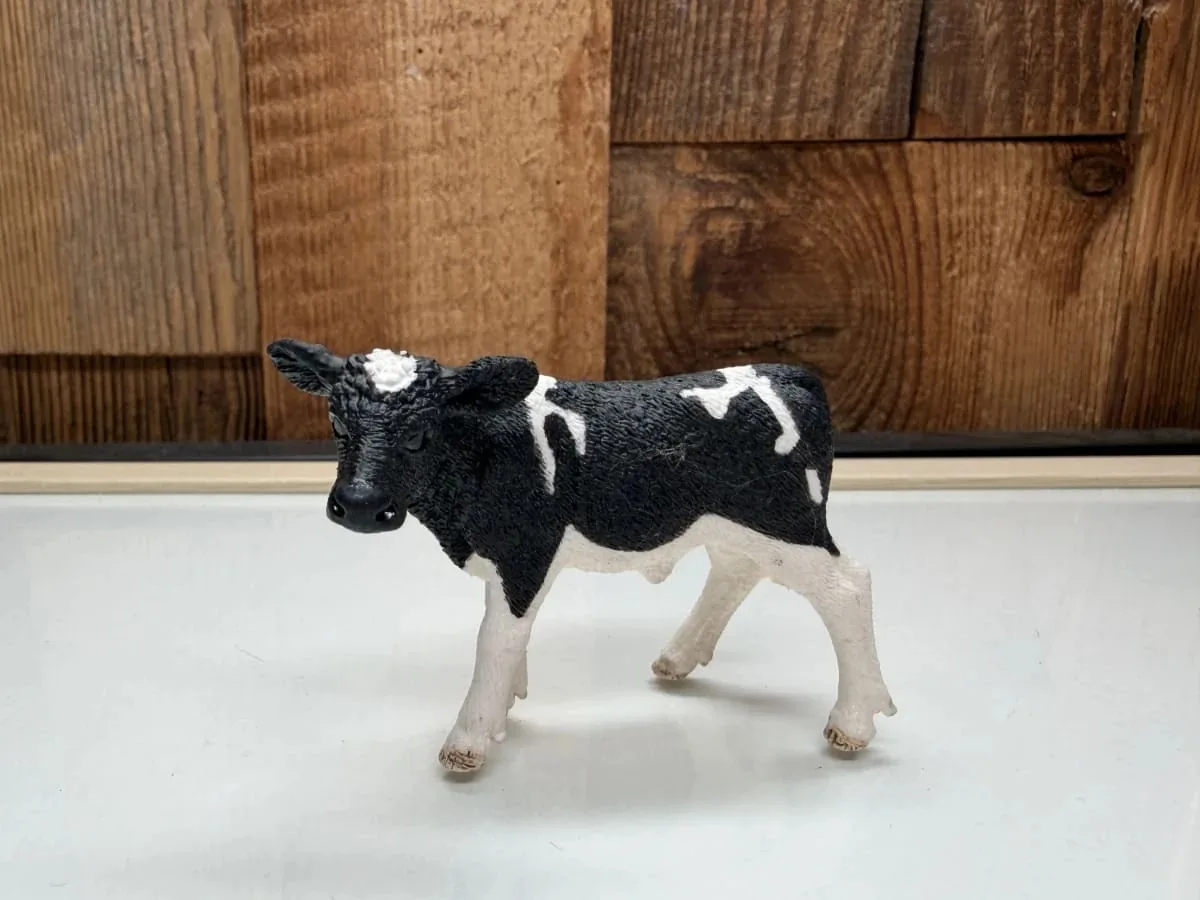 Schleich Holstein Kalf