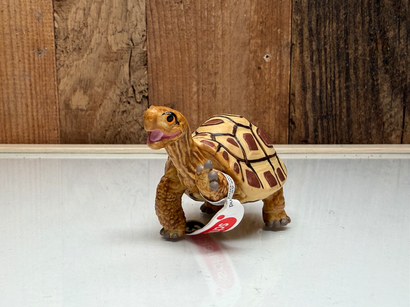 Schleich Wild Life Henrietta de Schildpad (14910)