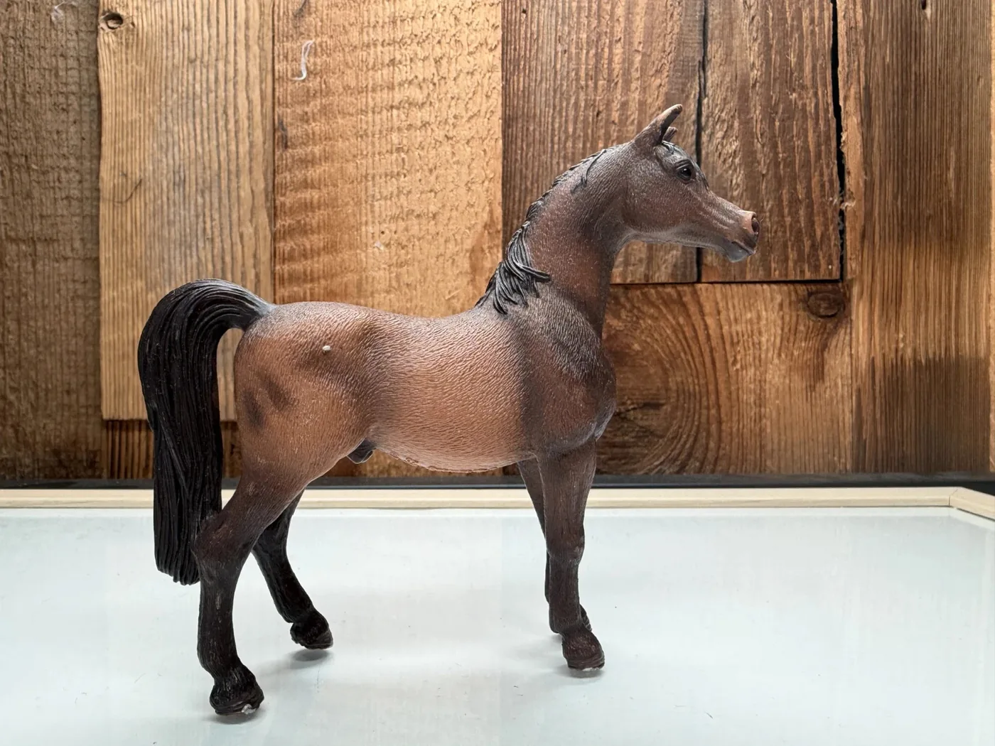 Schleich Horse Club Étalon arabe (13629)