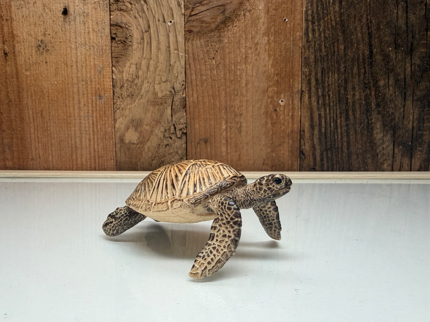 Schleich Wild Life Zeeschildpad (14695)