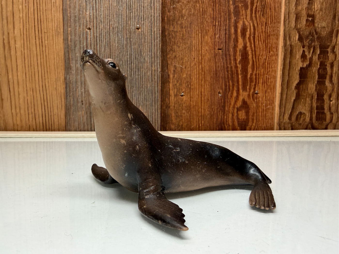 Schleich Zeeleeuw