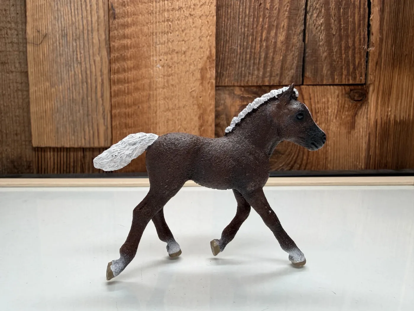 Schleich Horse Club Schwarzwalder Veulen (13899)