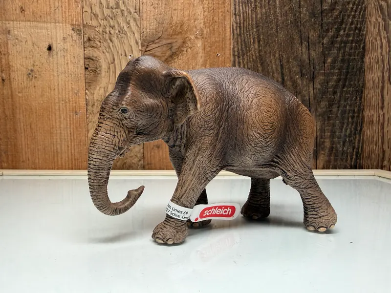 Schleich Wild Life Aziatische Olifant Vrouwtje (14753)
