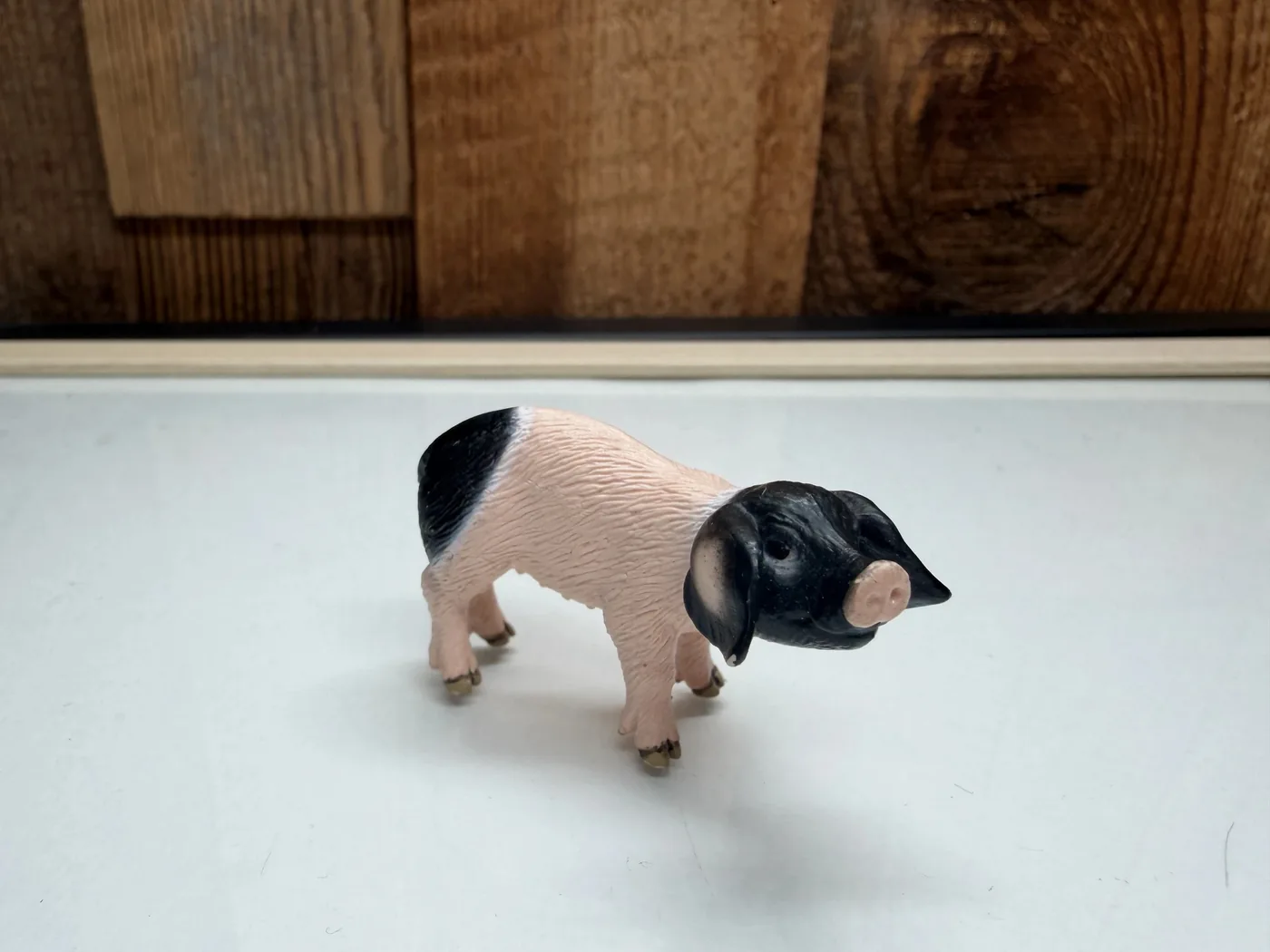 Schleich Farm World Schwabisch Biggetje Zeldzaam (13636)