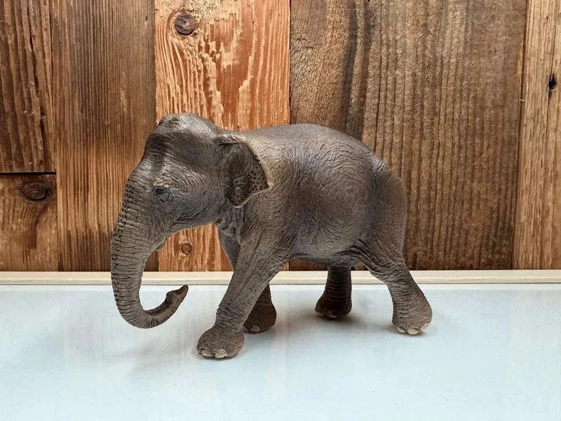 Schleich Aziatische Olifant Vrouwtje