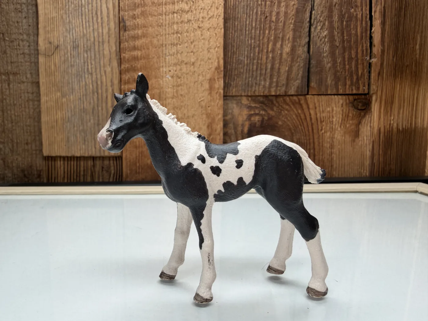 Schleich Horse Club Pinto Veulen (13803)