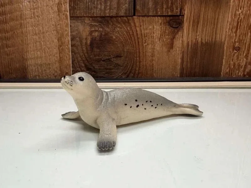 Schleich Zeehond