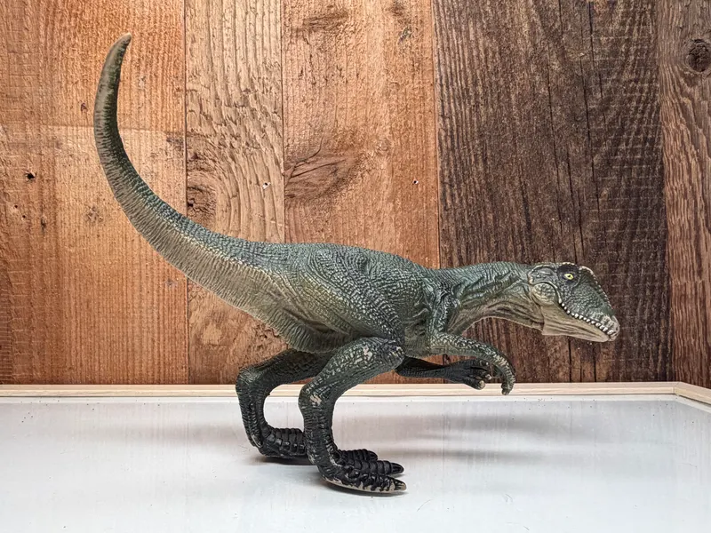 Schleich Velociraptor
