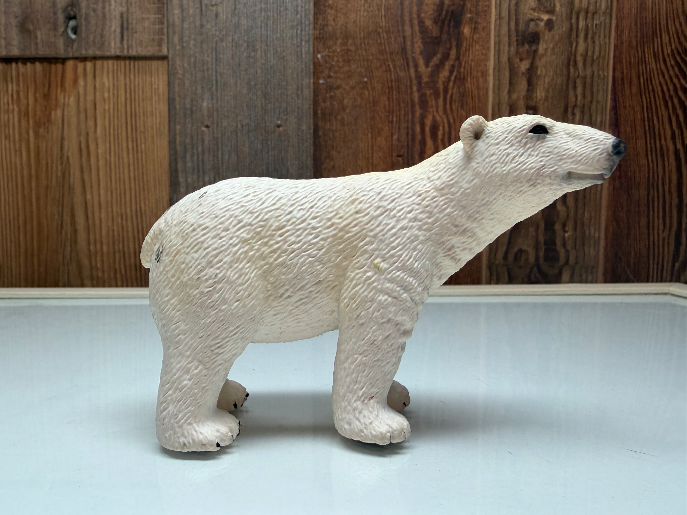 Schleich Ijsbeer