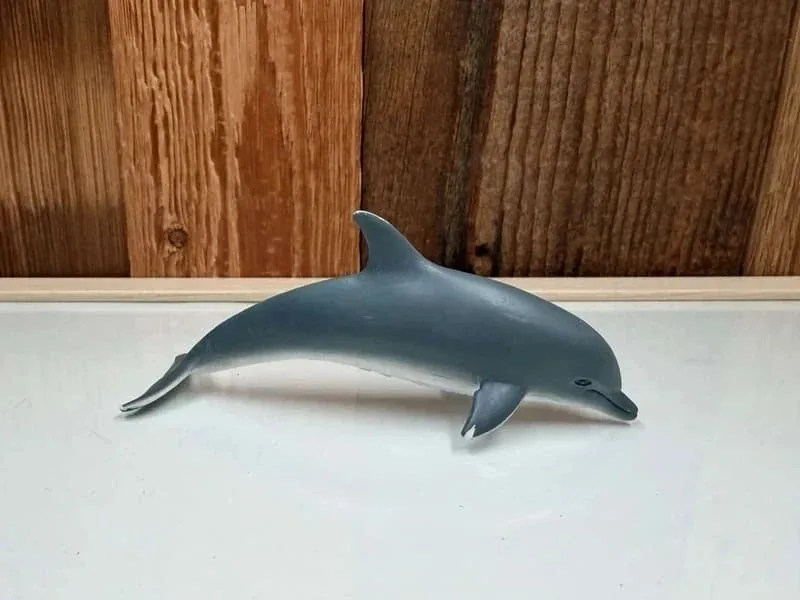 Schleich Dolfijn