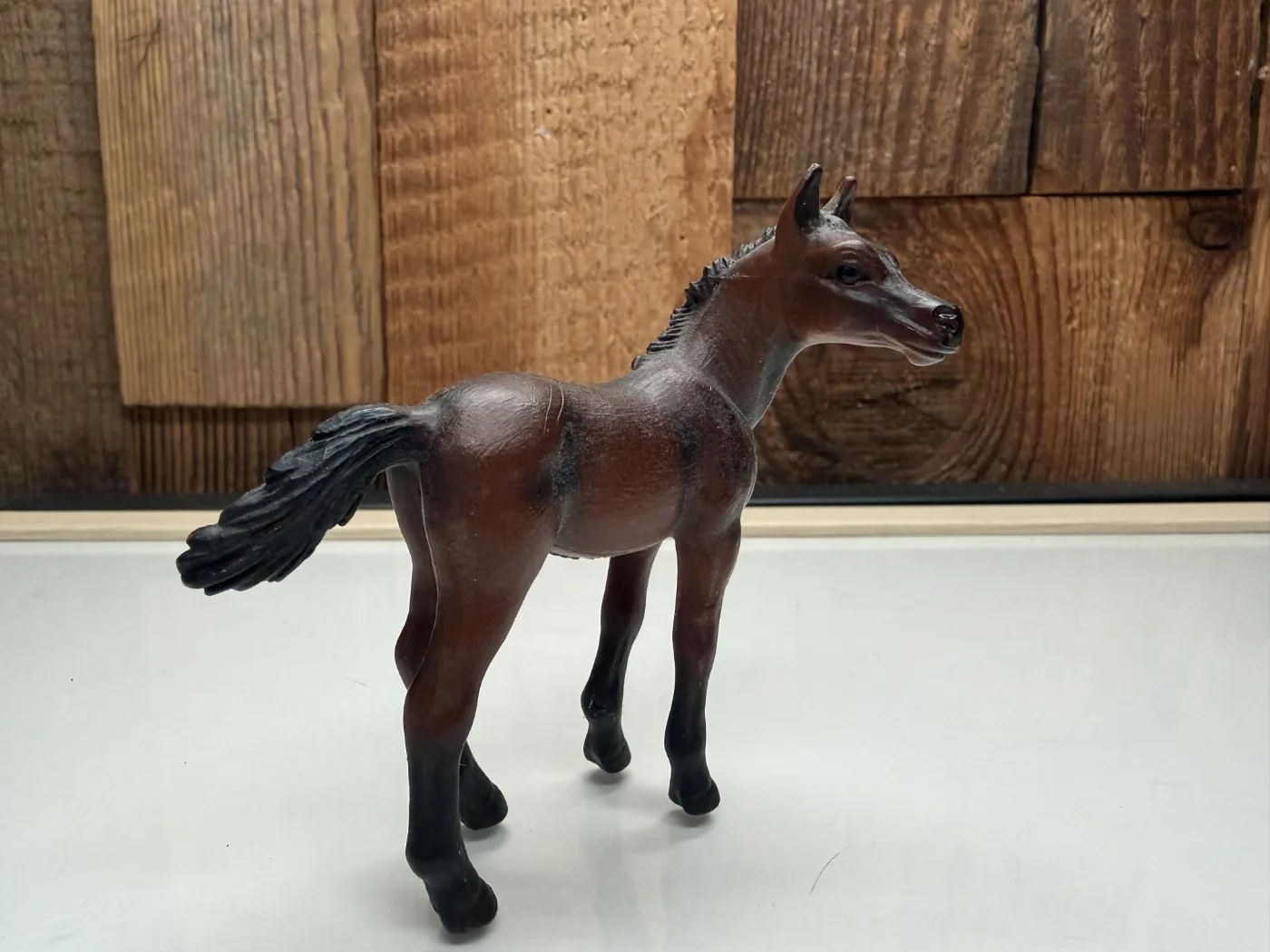 Schleich Horse Club Arabier Veulen (13276)