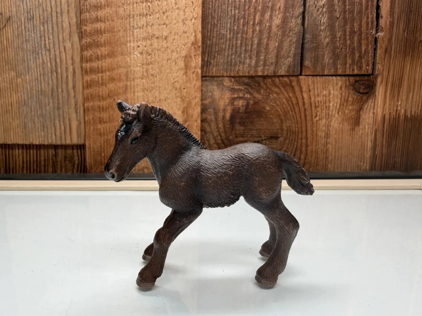 Schleich Horse Club Camargue Veulen (13628)