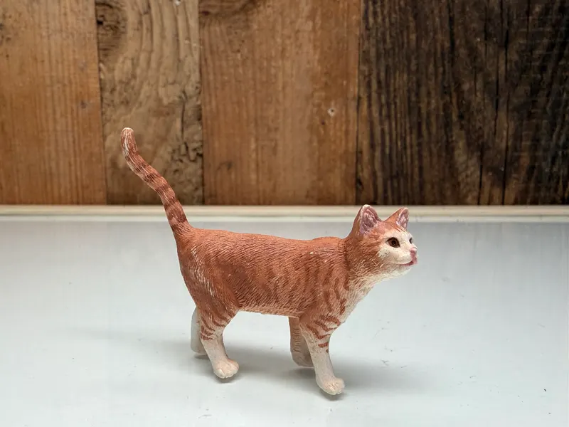 Schleich Farm World Kat Staand (13836)