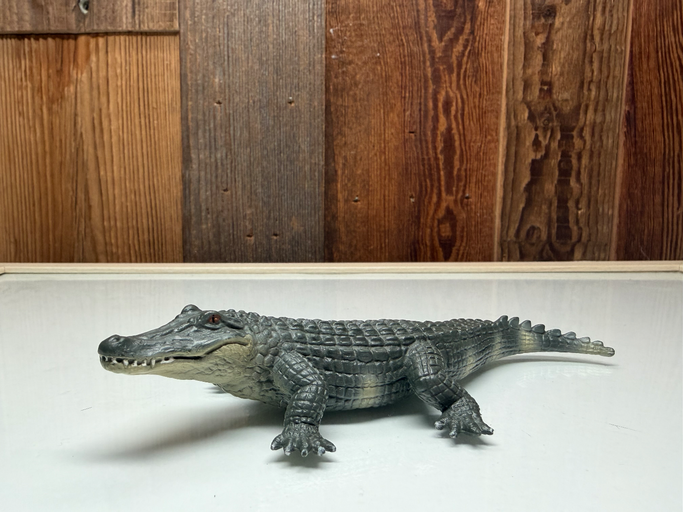 Schleich Mississippi Alligator