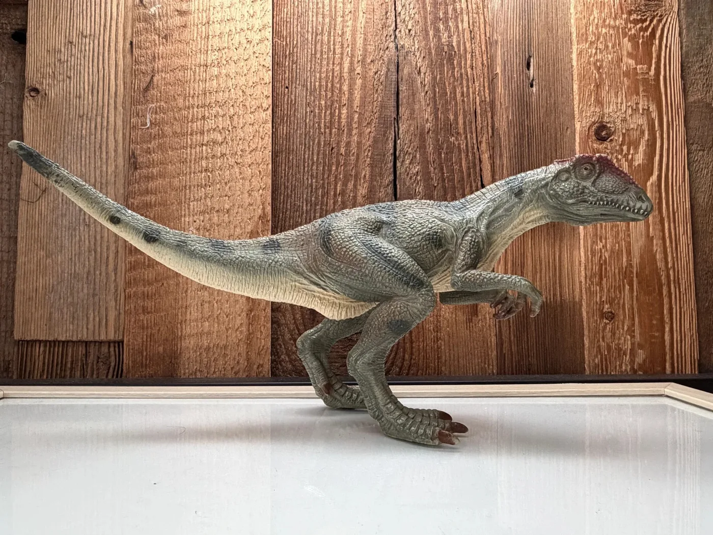 Schleich Dinosaurs Allosaurus (16460)