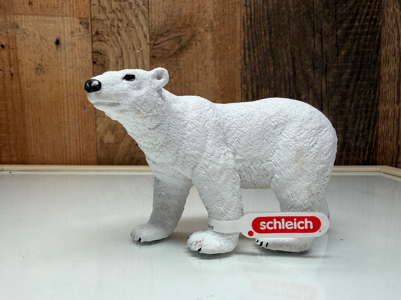 Schleich Ijsbeer