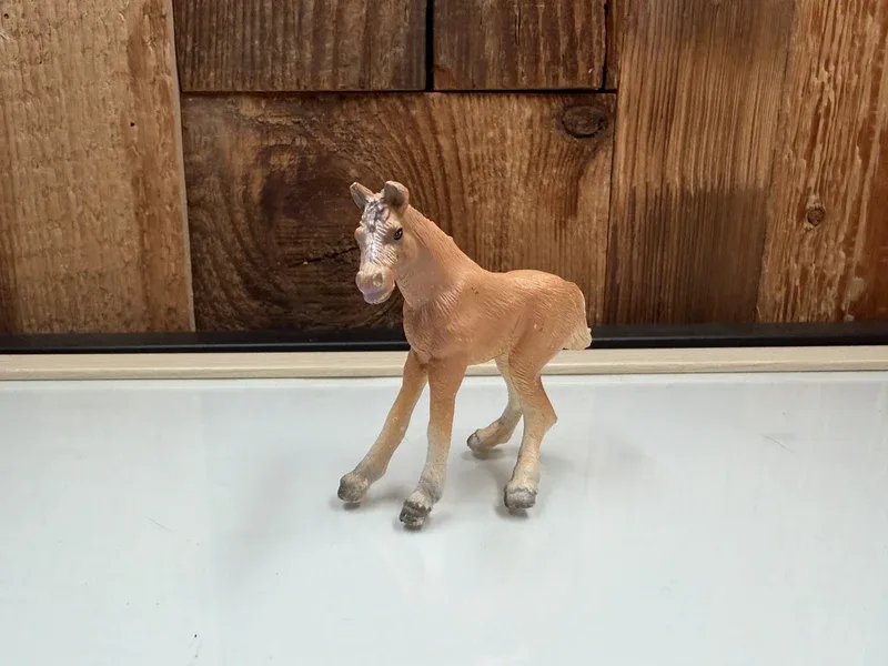 Schleich Horse Club Holsteiner Veulen (13984)
