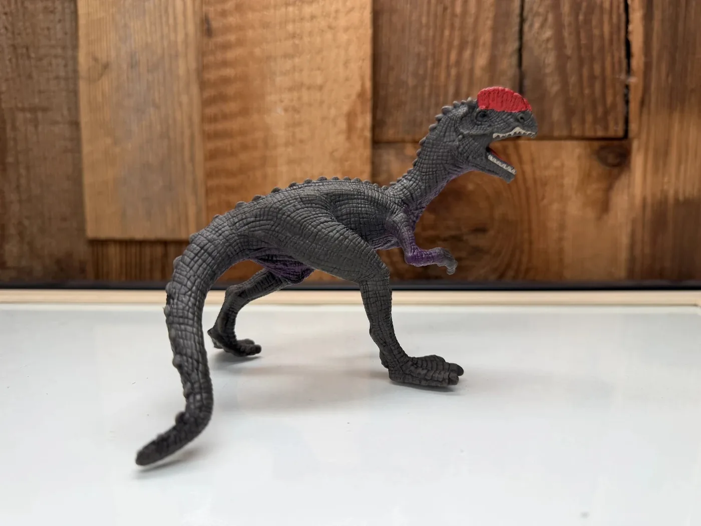 Schleich Dilophosaurus