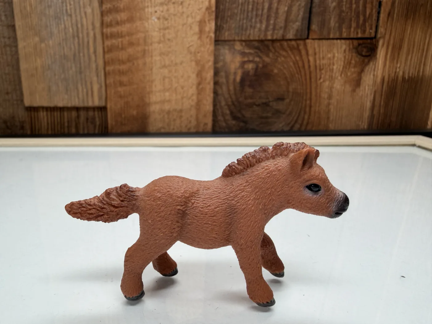 Schleich Horse Club Shetlander Veulen (13777)