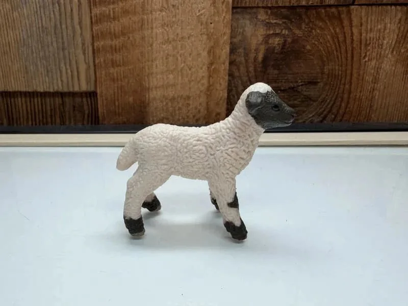 Schleich Farm World Shropshire Lam (13682)