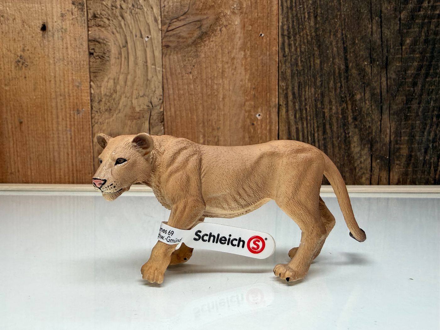 Schleich Wild Life Leeuwin (14825)