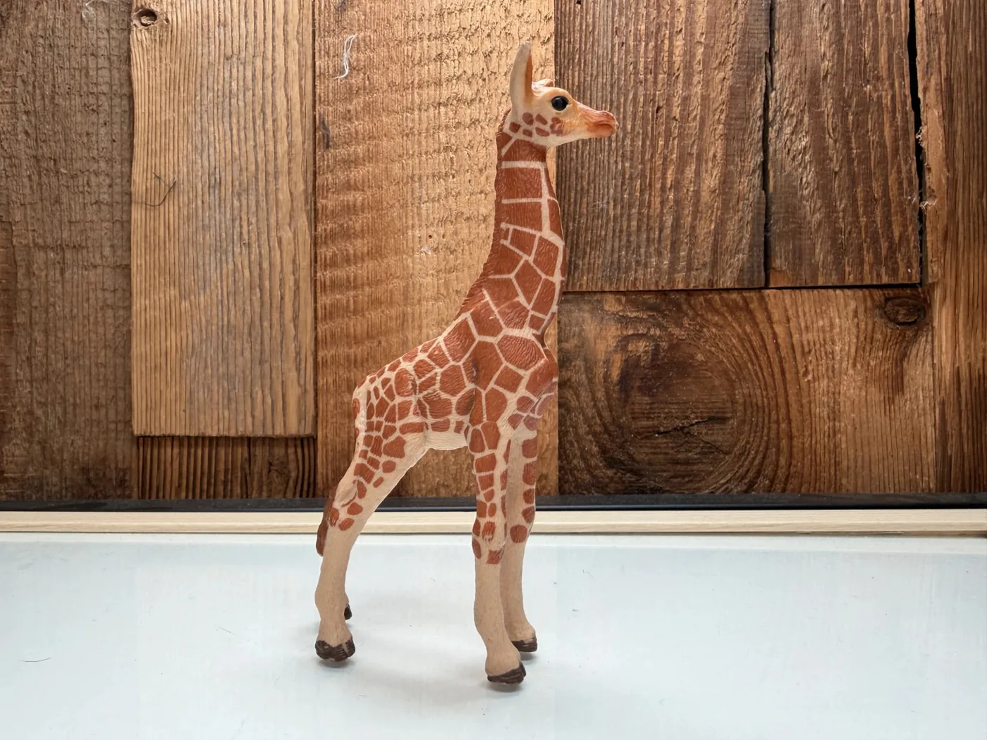 Schleich Wild Life Giraffe Kalf (14751)