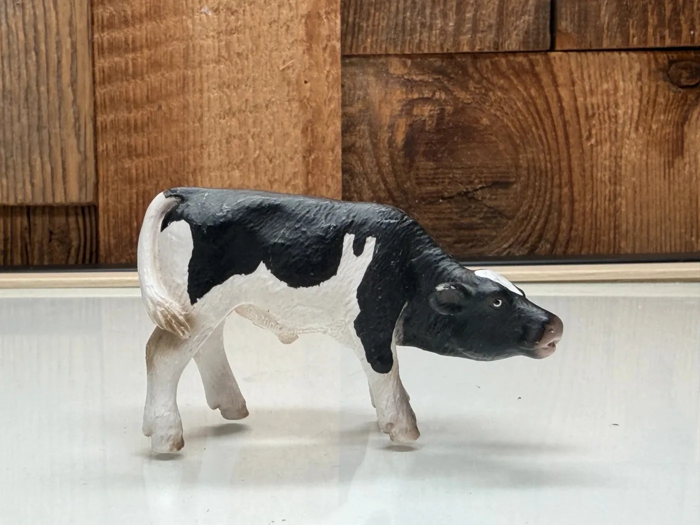 Schleich Holstein Kalf