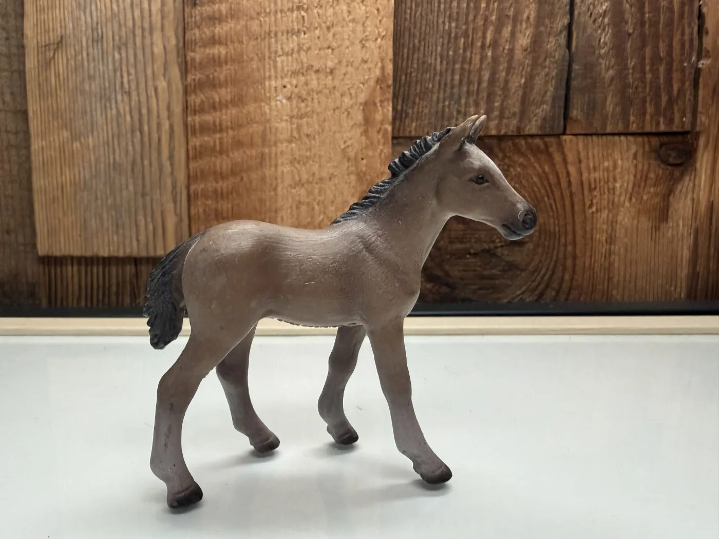 Schleich Horse Club Criollo Definitivo Veulen (13949)