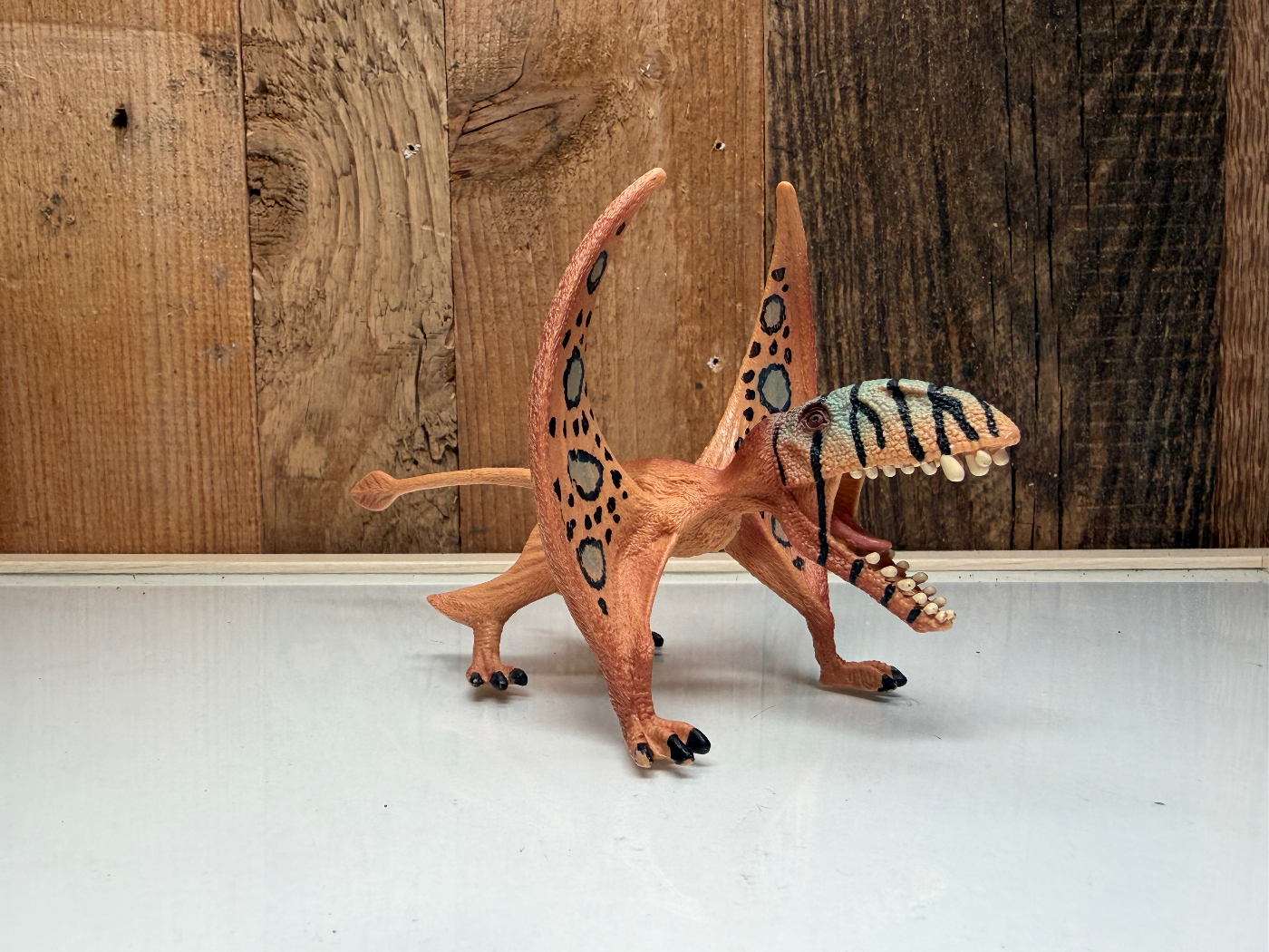 Schleich Dinosaurs Dimorphodon (15012)
