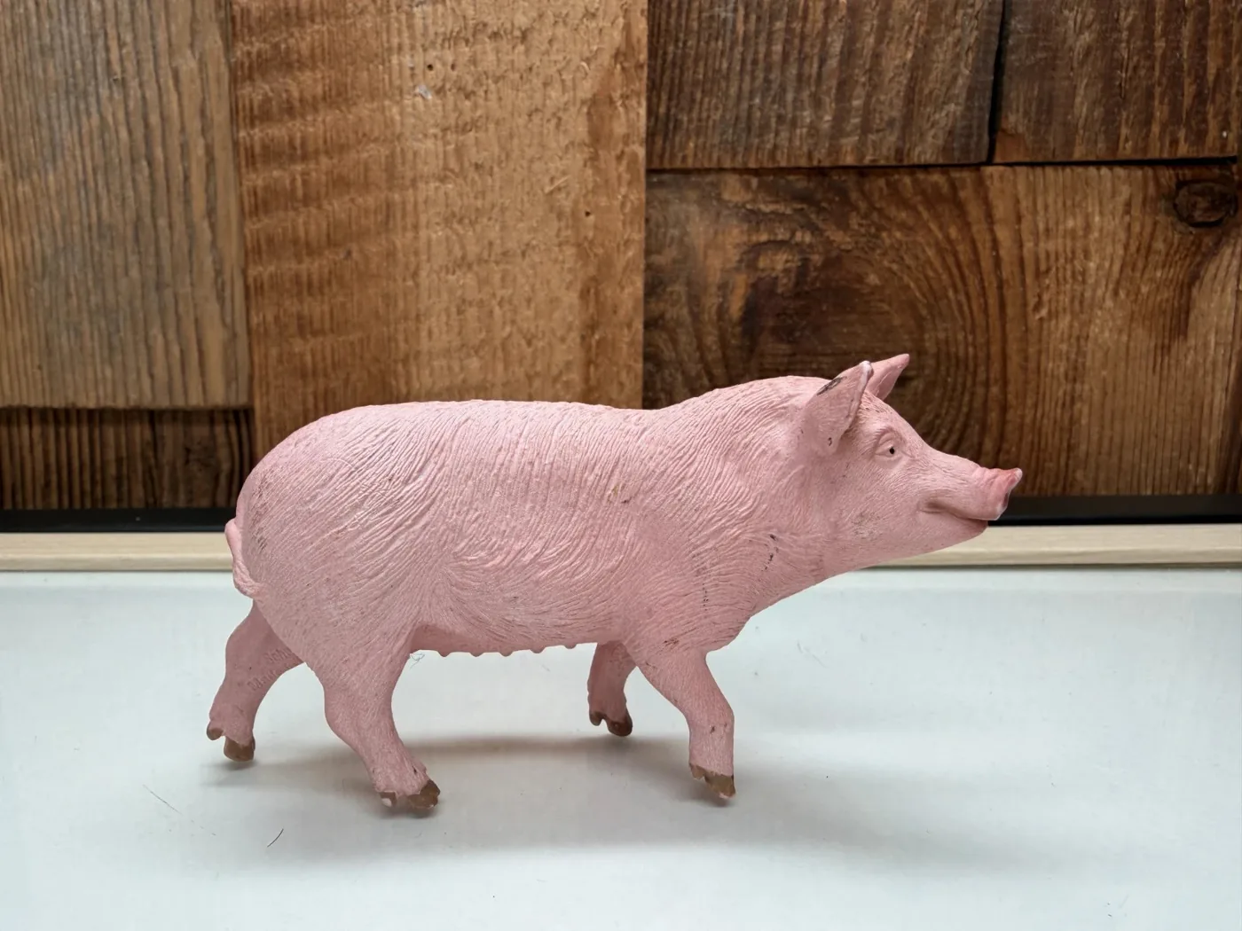 Schleich Varken