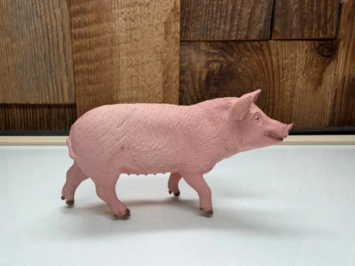 Schleich Varken