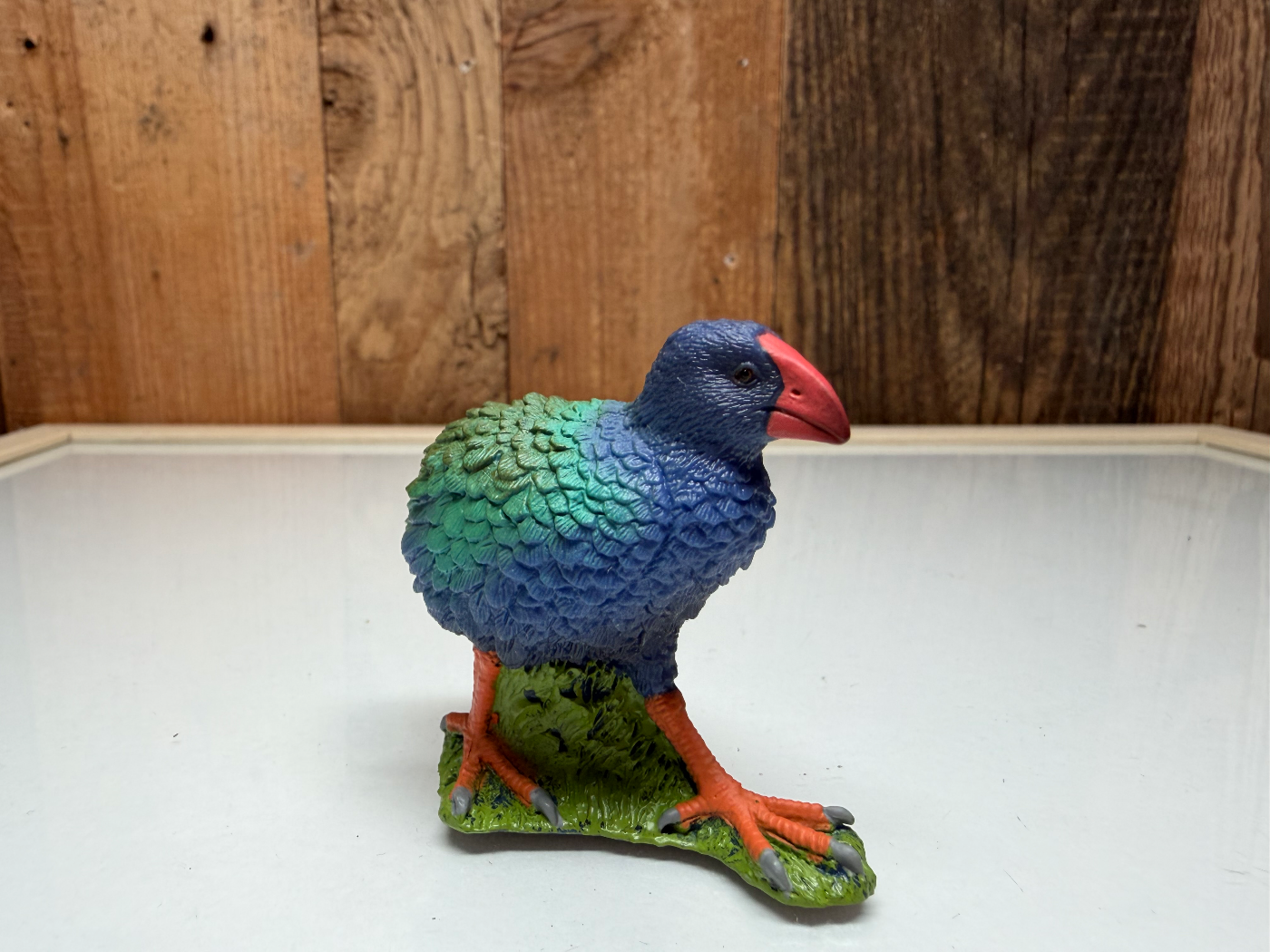 CollectA Wild Life Takahe (80041)