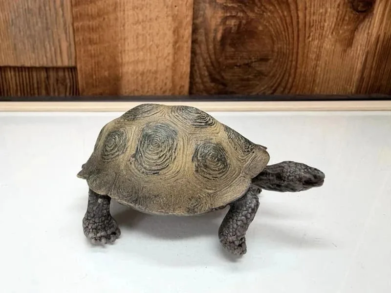 Schleich Reuzenschildpad