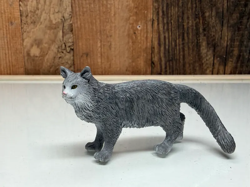 Schleich Farm World Maine Coon Kat (13893)