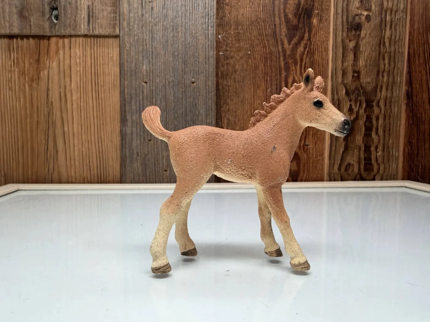 Schleich Horse Club Quarter Horse Veulen (13854)