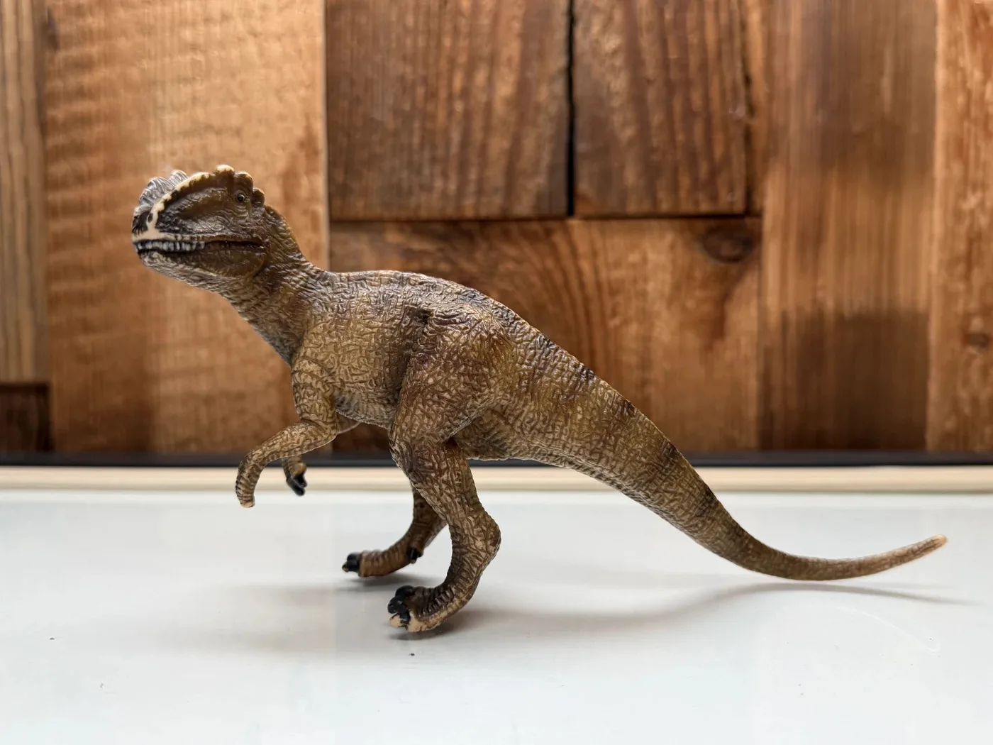 Schleich Dinosaurs Allosaurus (14512)