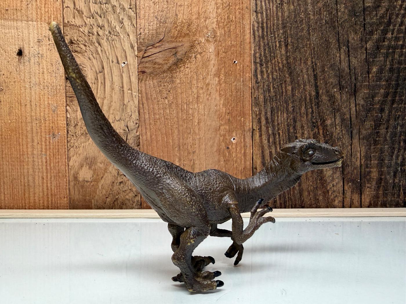Merk Dinosaurs Dino (518101)